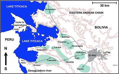 Sheep and Cattle Reservoirs in the Highest Human Fascioliasis Hyperendemic Area: Experimental Transmission Capacity, Field Epidemiology, and Control Within a One Health Initiative in Bolivia